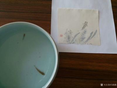 马晓薇日记-儿子帮我抓来两只虾虎鱼，它的眼睛 咕噜噜地转个不停，样子还真可爱。兴起作小画《小【图1】