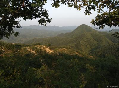 杨牧青日记-对于近几十年以来，接受西方化教育模式和西方化人生价值观、西方化文明标准成长起来的【图1】