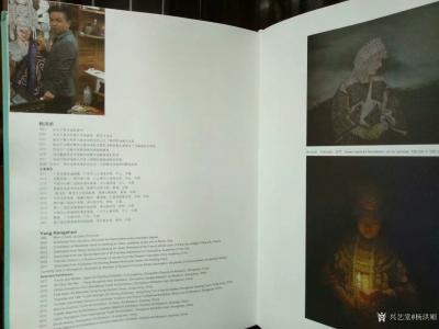 杨洪顺荣誉-挤身中国当代艺术文献，与大伽一起湊个热闹[玫瑰]【图3】