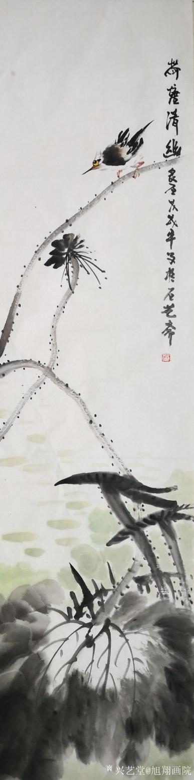 旭翔画院国画作品《荷塘清幽》