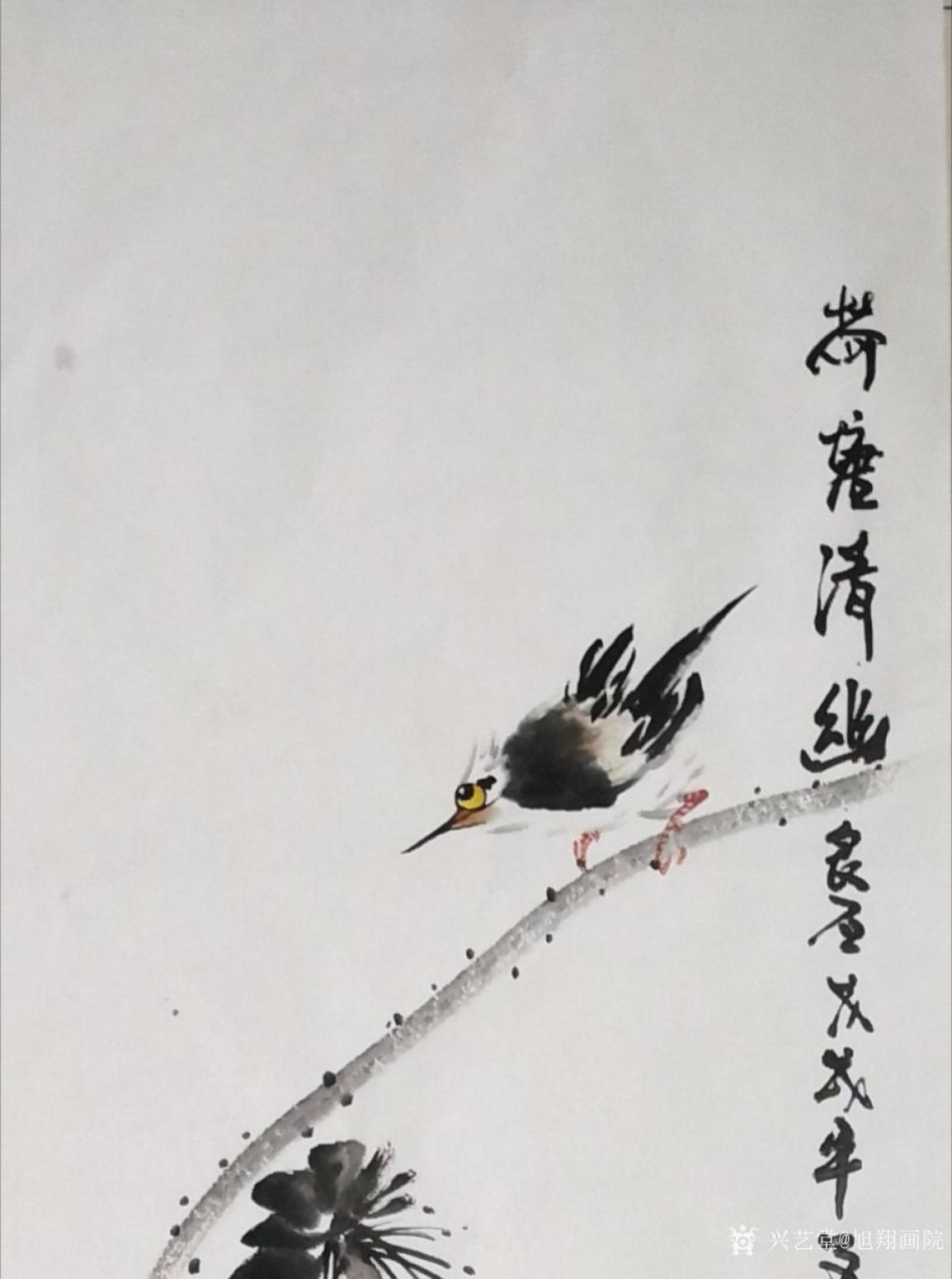 旭翔画院国画作品《荷塘清幽》【图0】