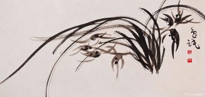 周牧天日记-周牧天国画兰花，36幅【图16】