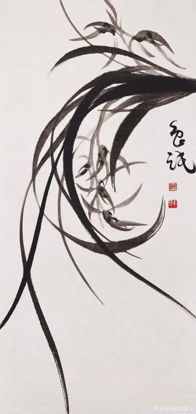 周牧天日记-周牧天国画兰花，36幅【图34】