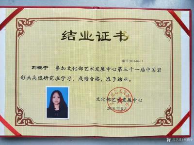 刘晓宁荣誉-我创作的第一张和第二张岩彩画，当代艺术，你不用看懂，有人懂就行了。
毕业了，短【图3】