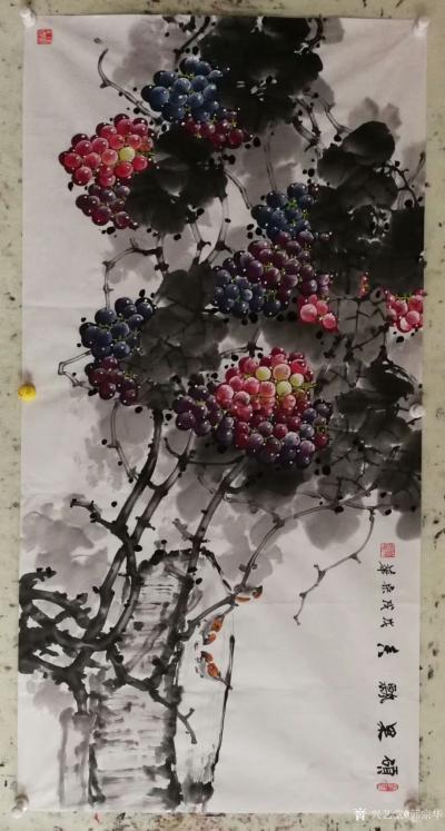 韩宗华日记-新鲜葡萄，硕果飘香，葡萄皮、粉、籽抗衰老延年益寿，请各位网友品尝【图2】