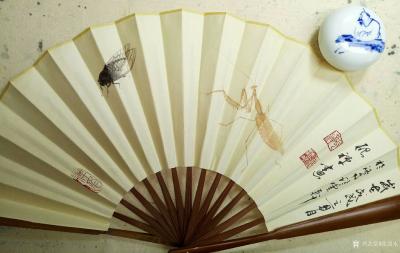 张清永日记-螳螂捕蝉，黄雀在后。试试画小动物，扇面《加官图》，请指正【图1】