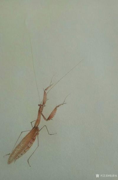 张清永日记-螳螂捕蝉，黄雀在后。试试画小动物，扇面《加官图》，请指正【图2】