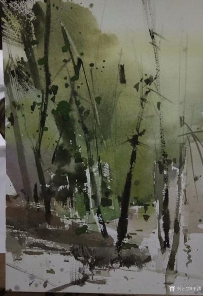 王涛日记-习作，走过的每一步都作数!【图1】