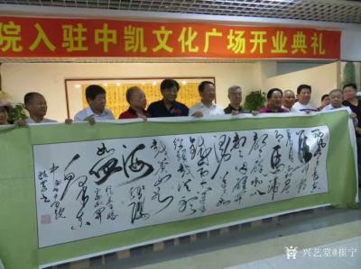 崔宁生活-2017年8月12日中国书画院入驻中凯文化广场，留影【图3】