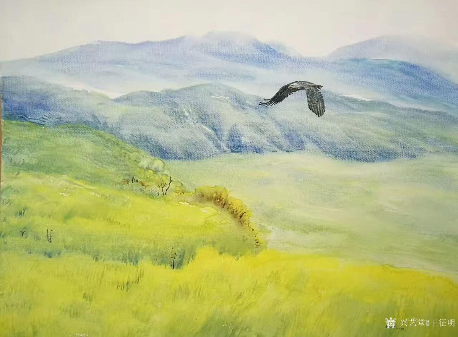 王征明国画作品《孤鹰》【图0】