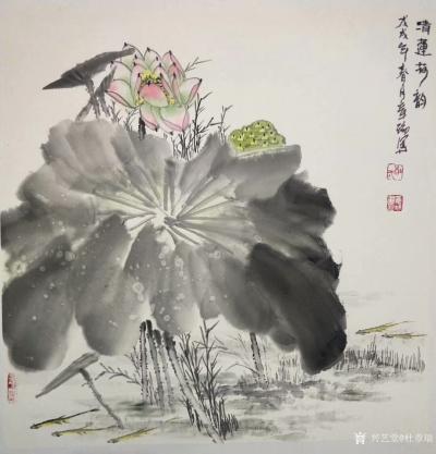 杜章瑞日记-《荷韵清风》《青莲荷韵》，国画花鸟画荷花，尺寸斗方60*60cm，请各位欣赏【图2】