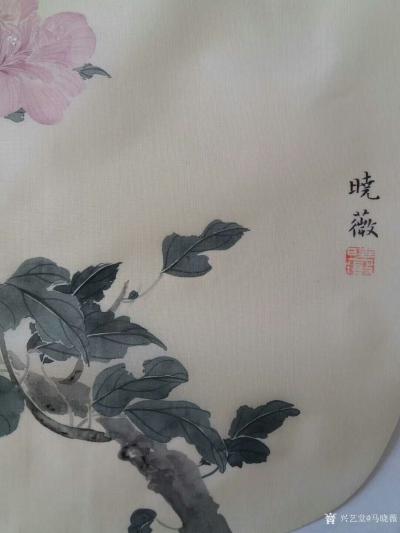 马晓薇日记-年年岁岁花相似，岁岁年年人不同，完成扇面工笔写生花卉一幅，【图5】