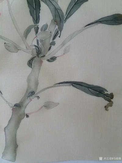 马晓薇日记-曲阑凤子花开后，捣入金盆瘦。银甲暂教除，染上春纤，一夜深红透。完成国画写生花卉作【图5】