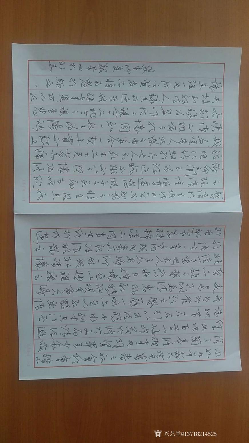 13718214525书法作品《兰亭序钢笔草书》