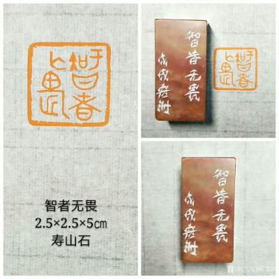 陈宏洲日记-新制作完成的印章，张海涛雅正，2.5*2.5*8cm，九龙钮辽宁丹东绿；智者无畏【图2】