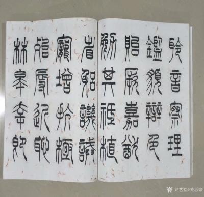 关惠宗日记-阿惠篆书《千字文》尺寸34·5x23·5cm，正文32页，云龙红花宣纸书写。装订【图4】