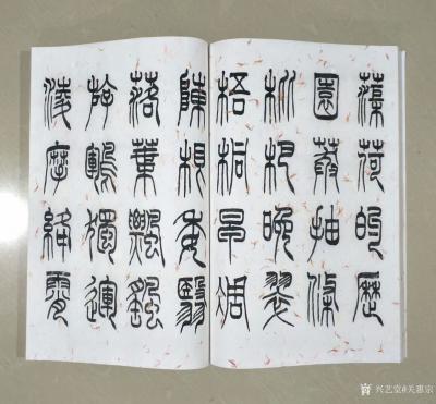 关惠宗日记-阿惠篆书《千字文》尺寸34·5x23·5cm，正文32页，云龙红花宣纸书写。装订【图5】