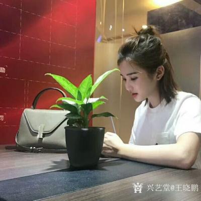 王晓鹏日记-我的油画作品《梳头女孩》，模特，还有这位宁波女孩的近照。美丽的画面，值得分享。【图2】