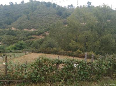 杨牧青日记-悠然谷行吟
杨牧青

秋露田园心身安，
枝头鹊儿叫声欢，
葫芦架下问前【图1】