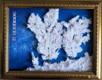 崔宁日记-雕刻作品~雾凇系列:《粉妆玉砌裹银装》，材料:EPS乙烯板，工艺:分多层雕刻的，【图3】