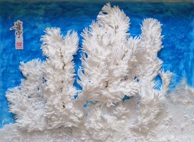 崔宁日记-雕刻作品~雾凇系列:《粉妆玉砌裹银装》，材料:EPS乙烯板，工艺:分多层雕刻的，【图8】