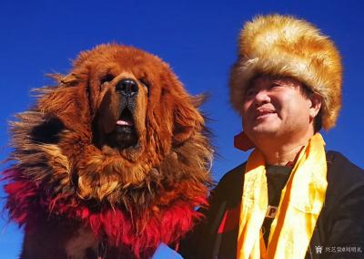 刘明礼生活-我与犬王藏獒的合影【图2】