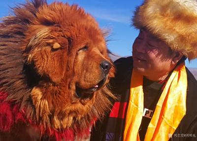 刘明礼生活-我与犬王藏獒的合影【图5】