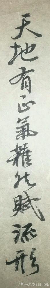 白世强日记-练笔书法作品欣赏：“余囚北庭，坐一土室。室广八尺，深可四寻。单扉低小，白间短窄，【图3】