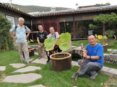 秦发艺生活-今天爬山，上午游玩鹿泉石窑小镇。午饭后转了海山公园。天气凉爽，多云不晒，玩得很惬【图2】