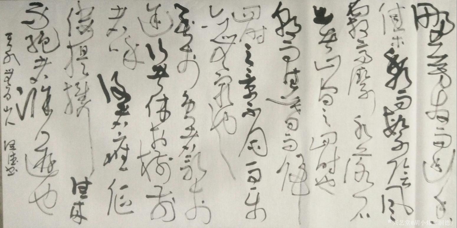 胡小炜（润德）书法作品《野芳发而幽香》【图0】