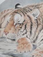 艺术家于永强日记:最近作品，50.50  山君，软卡，中秋临近，提前祝福朋友们【图1】