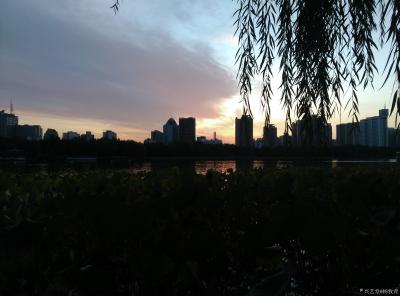 杨牧青日记-云水谣·秋吟
杨牧青

仲秋云水天
身心归自然
留点糊涂
来点清醒
【图3】