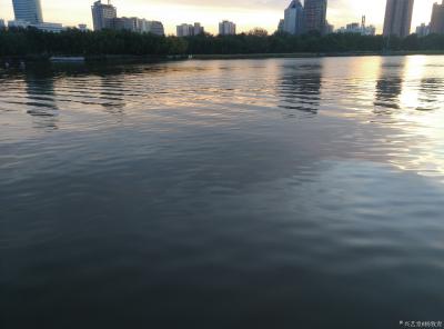 杨牧青日记-云水谣·秋吟
杨牧青

仲秋云水天
身心归自然
留点糊涂
来点清醒
【图4】