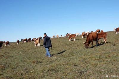 张健生活-我在内蒙古乌兰布统蛤蟆坝写生，这里的天蓝得如画家笔下的画【图3】