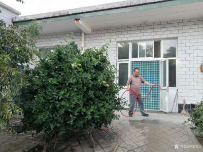 秦发艺生活-进家门先接水管冲院子。一湿润，就舒适了～【图2】