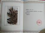 李青利荣誉-国画作品《蕉林听雨》入选“墨香诏安-中国画作品展”--中国美【图1】
