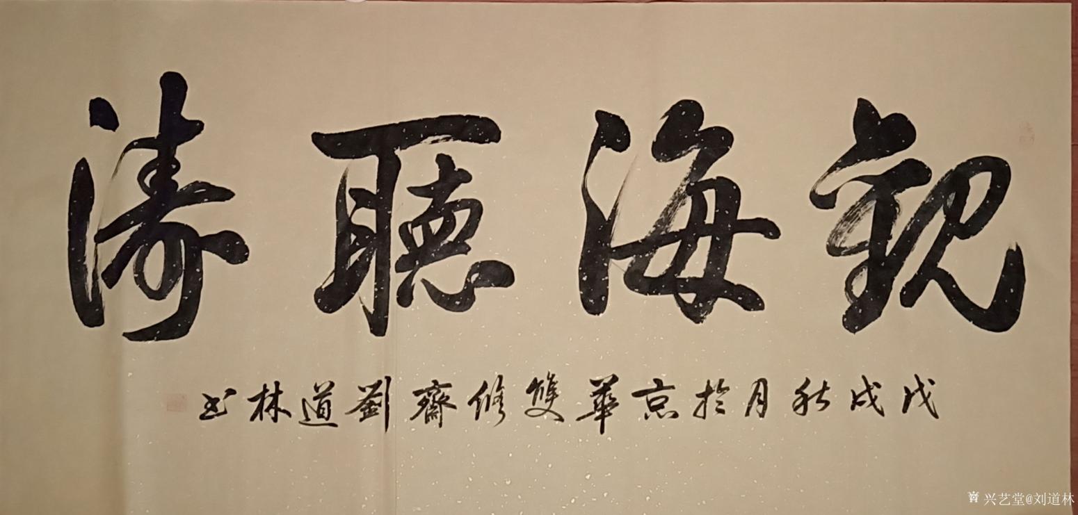 刘道林书法作品《观海听涛》