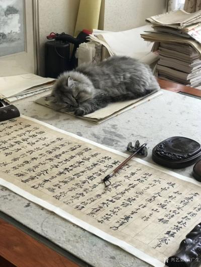 石广生日记-今天的日期正反读都是今天2018102......2018102
 让我想起中【图2】