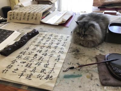 石广生日记-今天的日期正反读都是今天2018102......2018102
 让我想起中【图3】