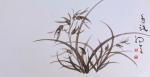 周牧天日志-周牧天国画兰花，40幅【图4】
