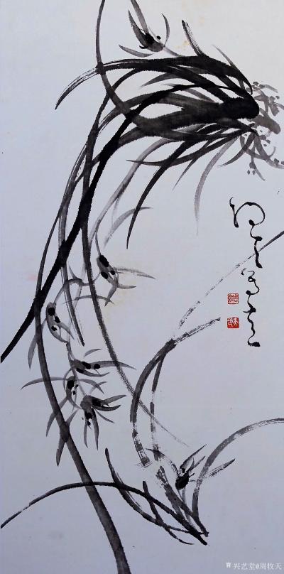 周牧天日记-周牧天国画兰花，40幅【图25】