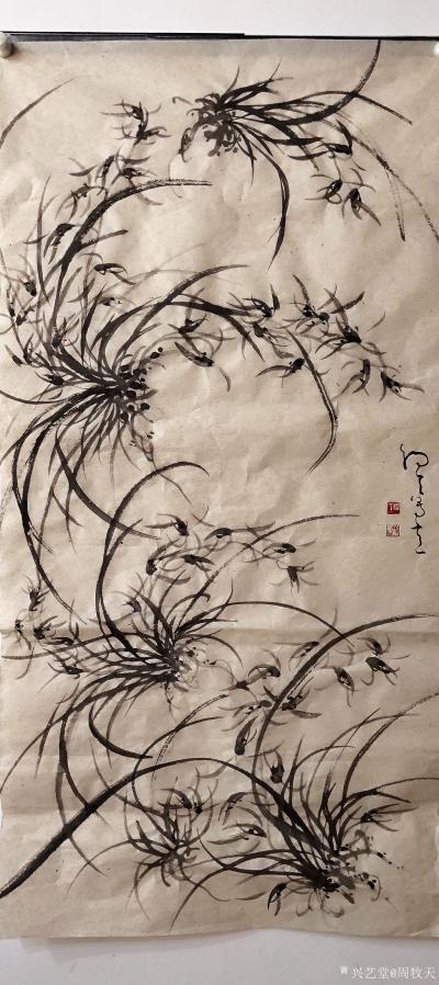 周牧天日记-周牧天国画兰花，40幅【图32】