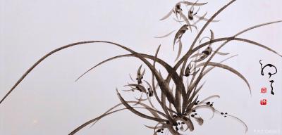 周牧天日记-周牧天国画兰花，40幅【图33】