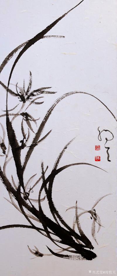 周牧天日记-周牧天国画兰花，40幅【图35】