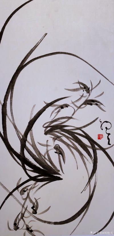 周牧天日记-周牧天国画兰花，40幅【图36】