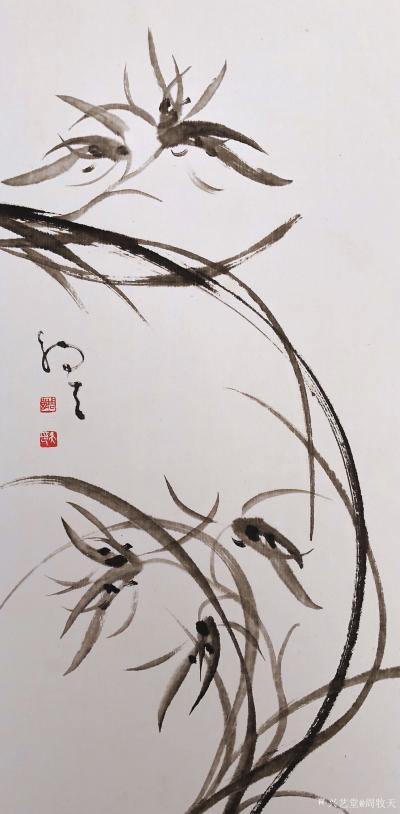 周牧天日记-周牧天国画兰花，40幅【图41】