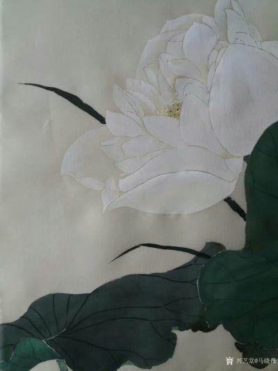 马晓薇日记-国画工笔花鸟画《盛荷》，尺寸60x60cm，请欣赏
素蘤多蒙别艳欺，此花端合在【图2】