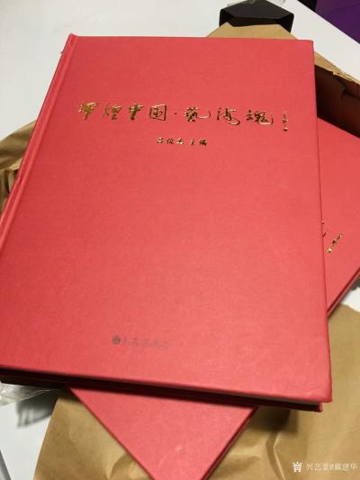 戴建华荣誉-亲们，早上好！昨天刚刚收到《辉煌中国.艺海魂》画册，看到我新创作的作品。感谢大家【图1】