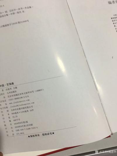 戴建华荣誉-亲们，早上好！昨天刚刚收到《辉煌中国.艺海魂》画册，看到我新创作的作品。感谢大家【图7】