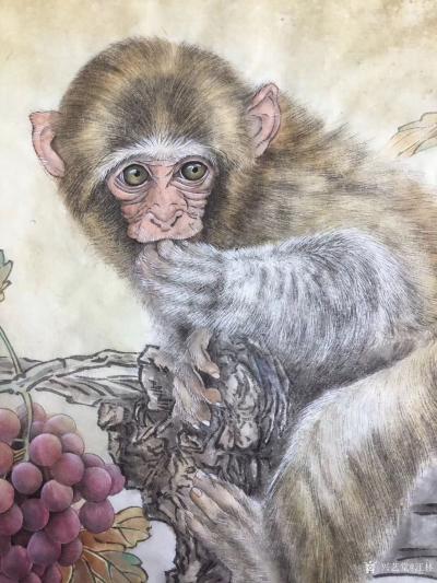 汪林日记-新作国画工笔画《猴子葡萄》刚刚绘制完成，尺寸57×88CM，附局部图，分享给大家【图1】